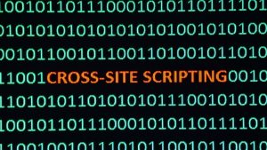 Cross Site Scripting Blog NutHost imagen principal